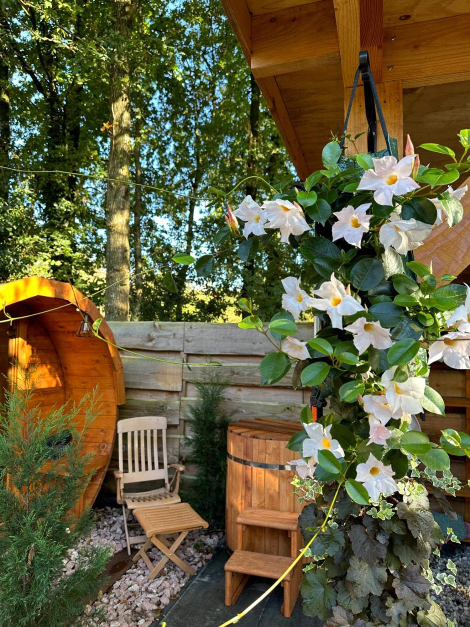 Chalet Harmony Prive Wellness 皮滕 外观 照片